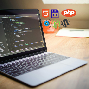 Creative Web Development Services